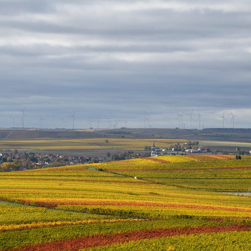 Weingut Becker Landgraf – Hier in Gau Odernheim sind wir zuhause Weingut Becker Landgraf – Hier in Gau Odernheim sind wir zuhause (Foto: Helmut Becker)