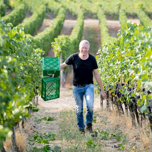 Gut gelaunter Winzer im Weinberg Gut gelaunter Winzer im Weinberg (Nathalie Zimmermann Fotografie)