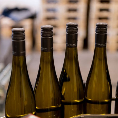 Weinabfüllen im Weingut BeckerLandgraf Weinabfüllen im Weingut BeckerLandgraf (Nathalie Zimmermann Fotografie)