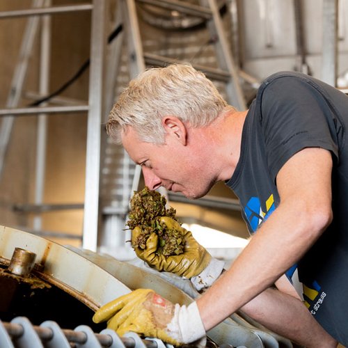 Johannes prüft das Lesegut an der Weinkelter Johannes prüft das Lesegut an der Weinkelter (Nathalie Zimmermann Fotografie)